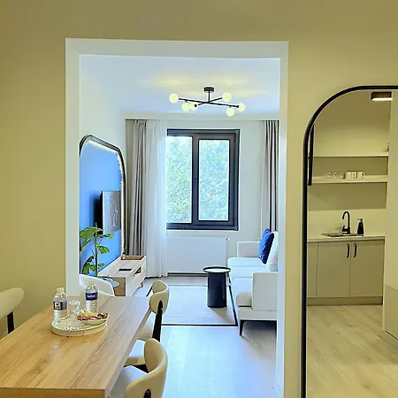 Spacious Modern Flat With Bosphorus View Ortakoy-6 اسطنبول